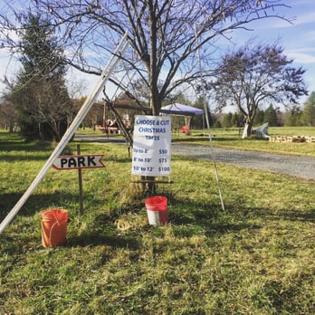 Naughty Pine Nursery - Beautiful trees, reasonable prices! - Nurseries & Gardening Near Me - Dickerson, Maryland Naughty Pine Nursery - Beautiful trees, reasonable prices! - Nurseries & Gardening Near Me - Dickerson, Maryland
