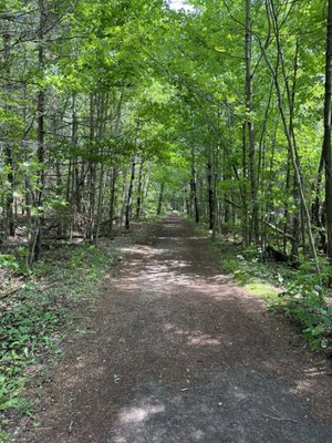 Newport State Park by null