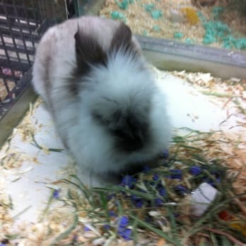 Petland - Pet Stores Near Me - Calgary, Alberta Petland - Pet Stores Near Me - Calgary, Alberta
