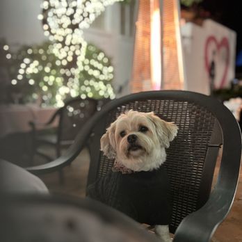 Terry's Restaurant + Lounge - Lounges Near Me - Carmel, California
