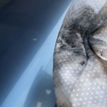 Glazed Auto Spa - After wipe - A cloth with a dotted pattern is being used to wipe a smooth, blue car surface, likely during detailing or cleaning. - Auto Detailing Near Me - Phoenix, Arizona