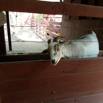 Rancho Los Alamitos - Landmarks & Historical Buildings Near Me - Long Beach, California