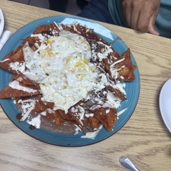 Wildflower Cafe - Chilaquiles rojas - Mexican Near Me - San Antonio, Texas Wildflower Cafe - Chilaquiles rojas - Mexican Near Me - San Antonio, Texas