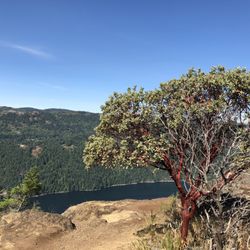 Gowlland Tod Provincial Park