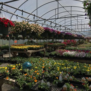 Rogers Gardens - Nurseries & Gardening Near Me - Springfield, Oregon Rogers Gardens - Nurseries & Gardening Near Me - Springfield, Oregon
