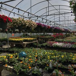 Rogers Gardens