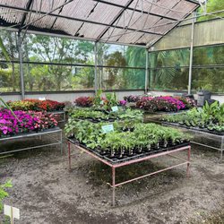 Rozett's Nursery and Garden Center. Interior.