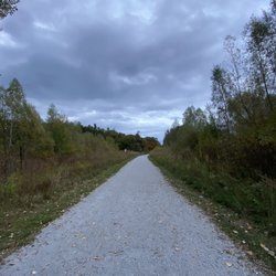 North Maple Regional Park - A trail