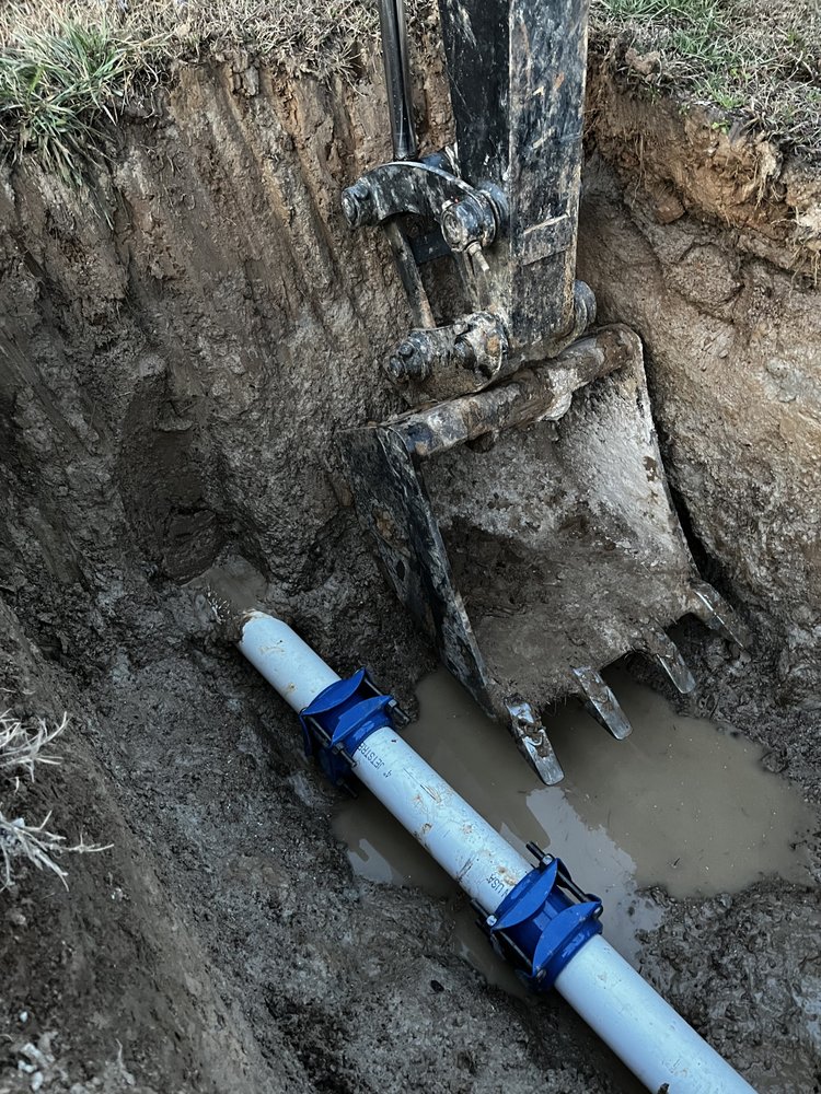 Slide of Arkansas Rooter