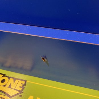 SpinZone Laundry - Roach - Laundromat Near Me - Round Rock, Texas