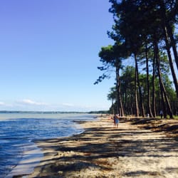 Lac de Biscarrosse - Petit havre de paix...