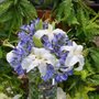 Photo of The Stalk Market Fine Silk Flowers