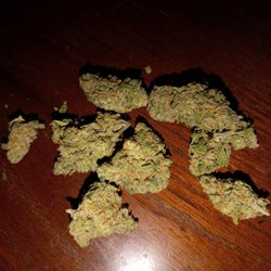 GrowHealthy - Bonita Springs - Blueberry Haze excellent
