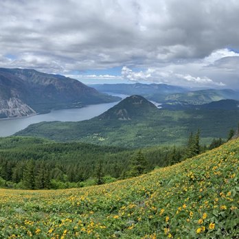 Dog Mountain Trail - Pano of the gorgeous gorge and wildflowers! - Hiking Near Me - White Salmon, Washington Dog Mountain Trail - Pano of the gorgeous gorge and wildflowers! - Hiking Near Me - White Salmon, Washington