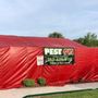 Photo of Pest 911