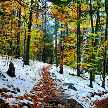 Kaaterskill Falls - Trail on top - Hiking Near Me