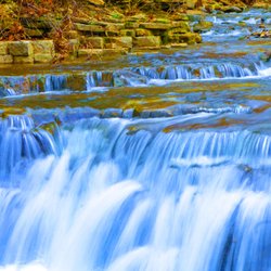 Cove Spring Park
