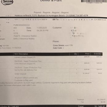 Moon Valley Nurseries - $499 charge on the Lime tree - Landscaping Near Me - Huntington Beach, California Moon Valley Nurseries - $499 charge on the Lime tree - Landscaping Near Me - Huntington Beach, California