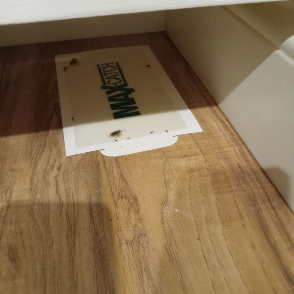 Aptive Pest Control - Pest Control Near Me - Deer Park, New York Aptive Pest Control - Pest Control Near Me - Deer Park, New York