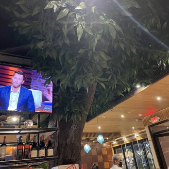 Mito Hibachi - Big "tree" by bar - Japanese Near Me - Yonkers, New York Mito Hibachi - Big "tree" by bar - Japanese Near Me - Yonkers, New York