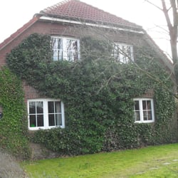 ferienwohnung das nest
