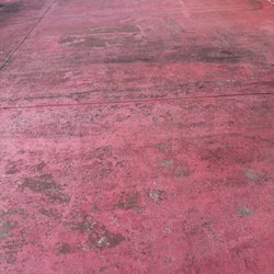 The dirty ground that is a signature Brewster's color.