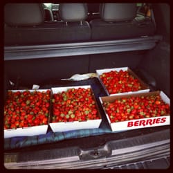 Rowe's Produce Farm