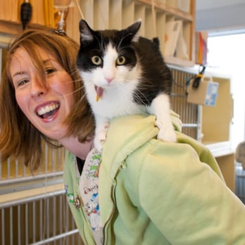 West Shore Animal Clinic - Veterinarians Near Me - Warwick, Rhode Island West Shore Animal Clinic - Veterinarians Near Me - Warwick, Rhode Island