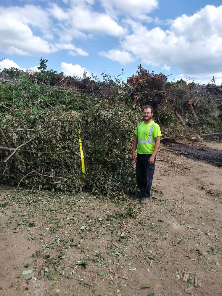 First Call Tree Service - tree service in Springfield, MO