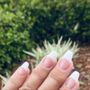 Photo of Star Nails