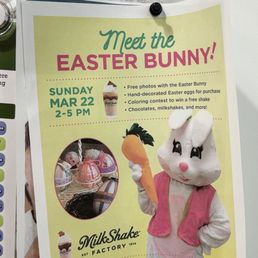 Easter Bunny flyer
