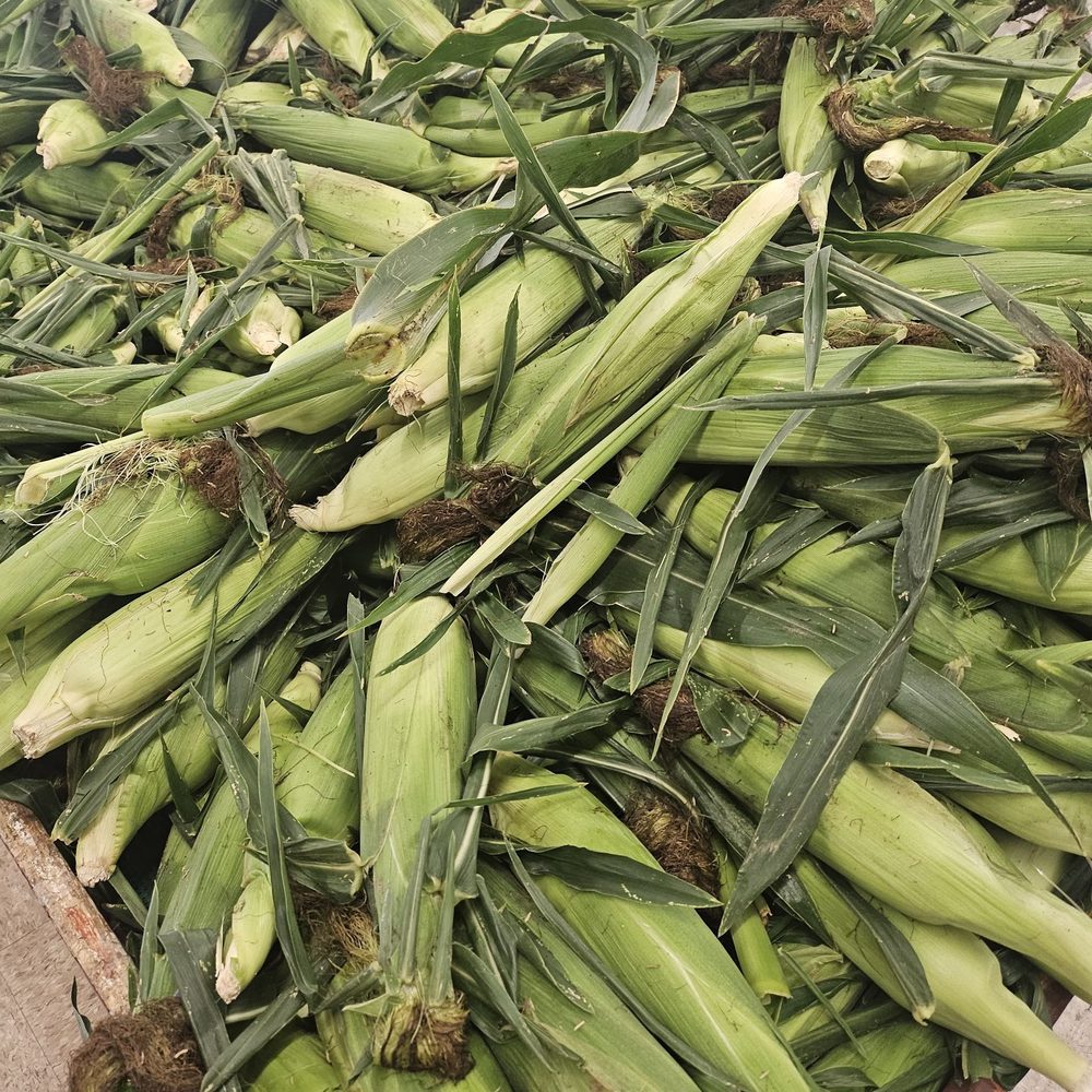 Williams Farm Stand - Sweet corn - Fruits & Veggies Near Me - Cicero, New York Williams Farm Stand - Sweet corn - Fruits & Veggies Near Me - Cicero, New York