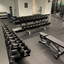 Precedent Health and Fitness - Dumbbells 5-100lbs
