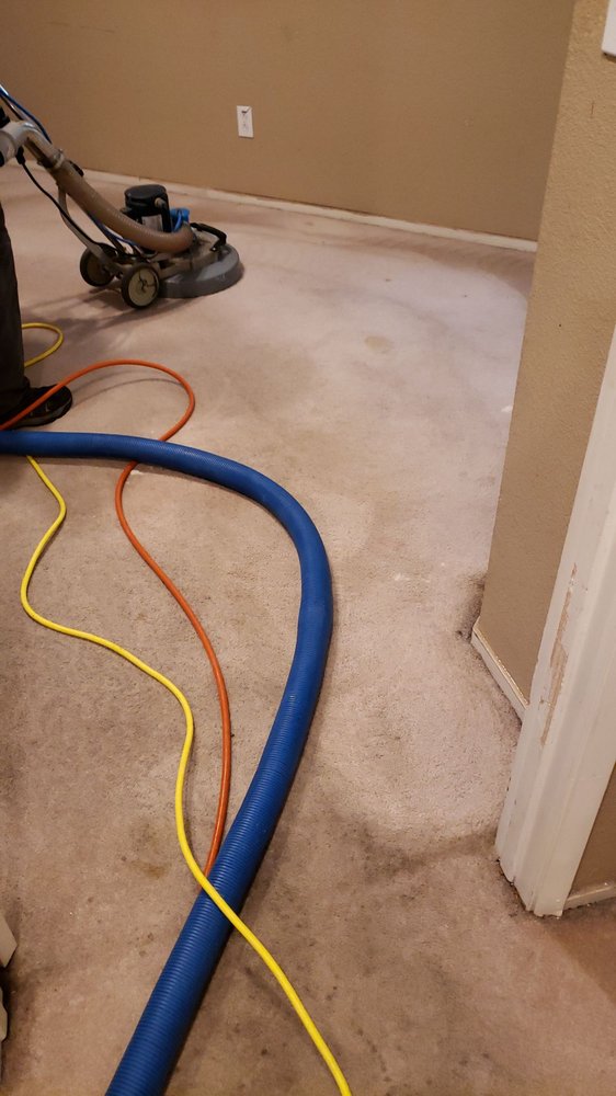 KAT’S KLEENUP CARPET & UPHOLSTERY CLEANING Updated October 2024 17