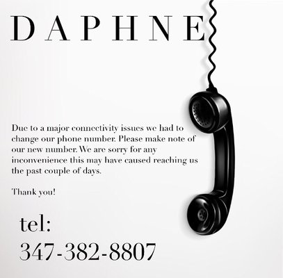 Daphne European Skincare & Sugaring Studio by null