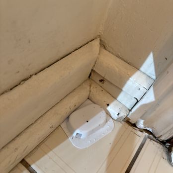 Now Its Clean - Dirt, cobwebs and bugs at our front entrance (pic taken right after they left) - Home Cleaning Near Me - Toronto, Ontario