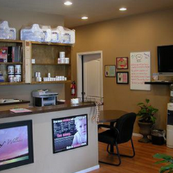 Beech Chiropractic - Relaxing Reception Area