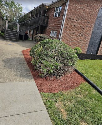 Lawn Services - Here for all your lawn service's needs, give us a call today ! Lawn Services - Here for all your lawn service's needs, give us a call today !