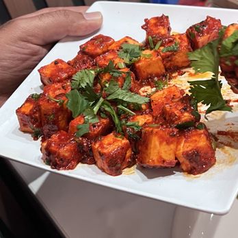 Discovery Indian Cuisine 2.0 - Indian Near Me - Lutz, Florida Discovery Indian Cuisine 2.0 - Indian Near Me - Lutz, Florida