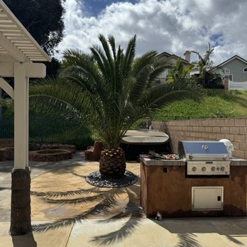 Joel's Tree Service - After - Tree Services Near Me