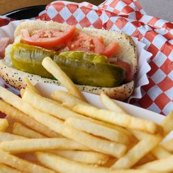 Chicago dog with fries
