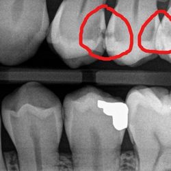Arthur Isakov, DDS - Dental Concepts