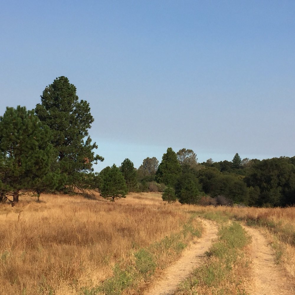 Seven-Up Guest Ranch - Along the hiking path - Hotels Near Me - Fair Play, California Seven-Up Guest Ranch - Along the hiking path - Hotels Near Me - Fair Play, California