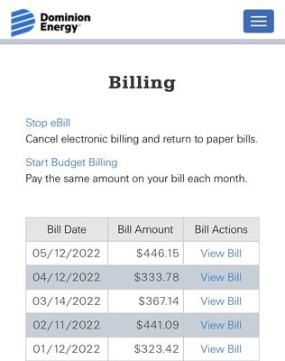Festival Park by null