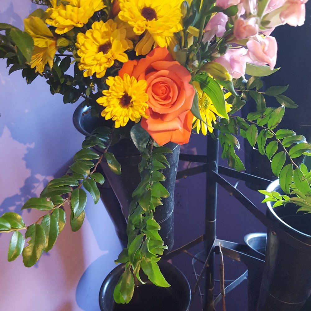 Passion Flowers - Florists Near Me - Ventura, California Passion Flowers - Florists Near Me - Ventura, California