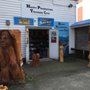 Photo of Happy Prospector's Treasure Cove