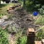 Photo of JC Garay Tree & Lawn Service