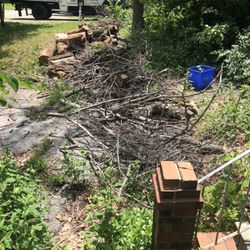 JC Garay Tree & Lawn Service