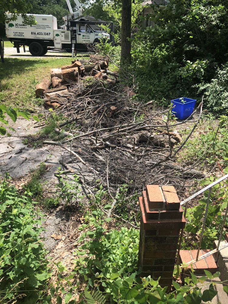 JC Garay Tree & Lawn Service - tree service in Independence, MO