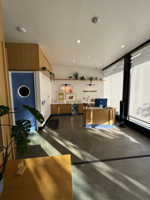 Modern Animal by null